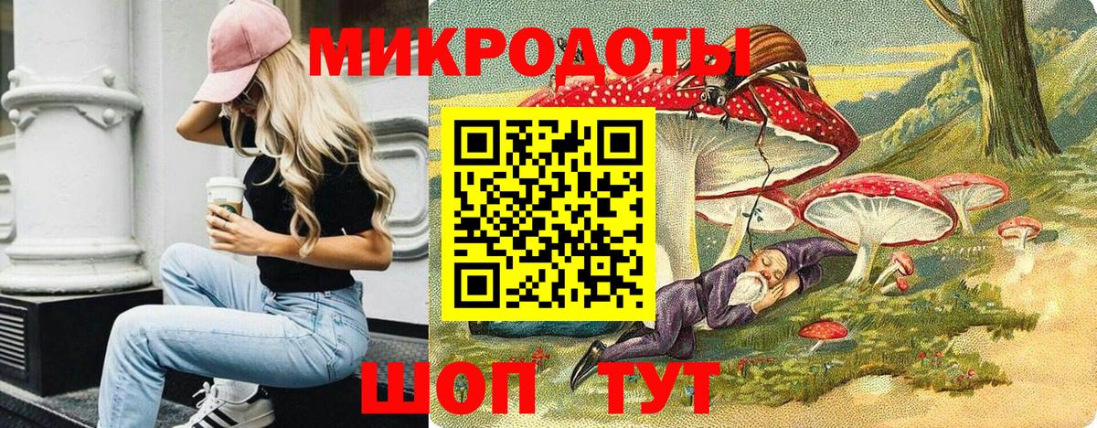 Галлюциногенные грибы Psilocybe Печора